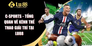 C-Sports - Tổng Quan Về Kênh Thể Thao Giải Trí Tại LU88