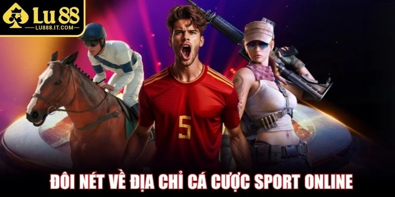 Đôi nét về địa chỉ cá cược Sport online