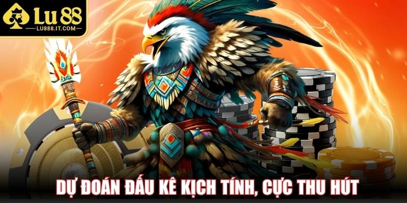Dự đoán đấu kê kịch tính, cực thu hút