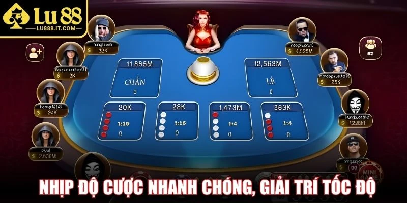 Nhịp độ cược nhanh chóng, giải trí tốc độ