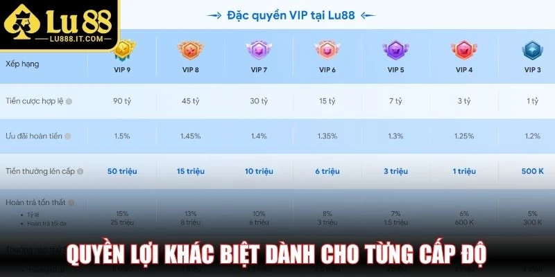 Quyền lợi khác biệt dành cho từng cấp độ