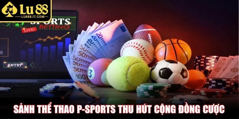 Sảnh thể thao P-Sports thu hút cộng đồng cược
